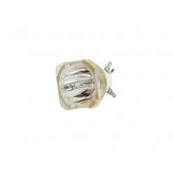 USHIO NSL 420 Reflector Discharge Lamp